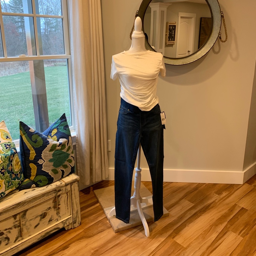 Liverpool Sienna Skinny Jeggings